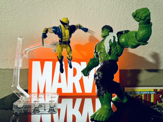 Display by Better_Off_Dead85