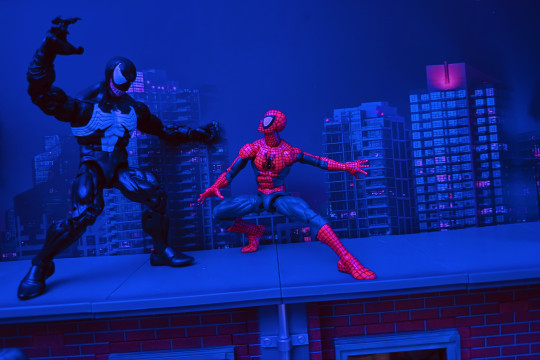 Display by Better_Off_Dead85