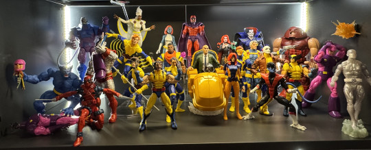 Display by Better_Off_Dead85