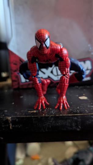 Display by Loganxdanstoys