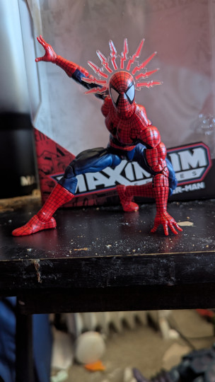 Display by Loganxdanstoys