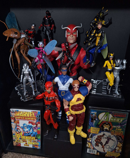Display by TomatoisJP