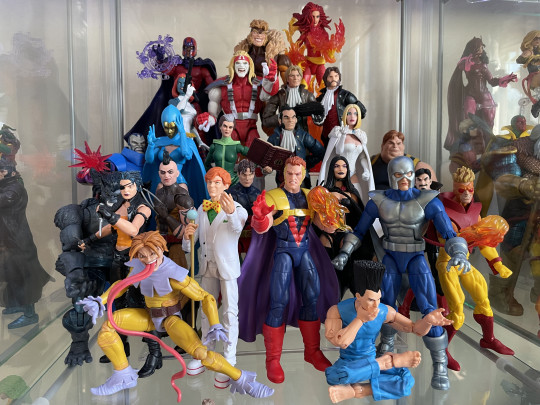 Display by Princess_Sparklefists