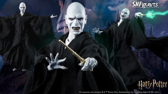Lord Voldemort (Harry Potter And The Goblet Of Fire)