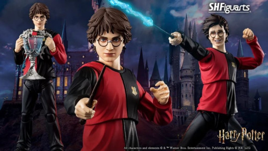 Harry Potter (Harry Potter And The Goblet Of Fire)