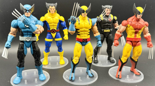 Collection Win