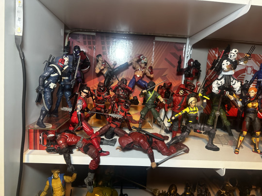 Display by MoClectic