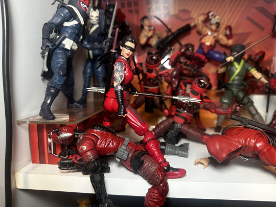 Display by MoClectic