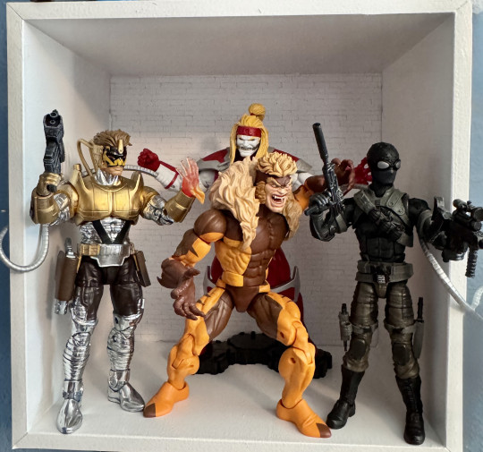 Display by Huntaur