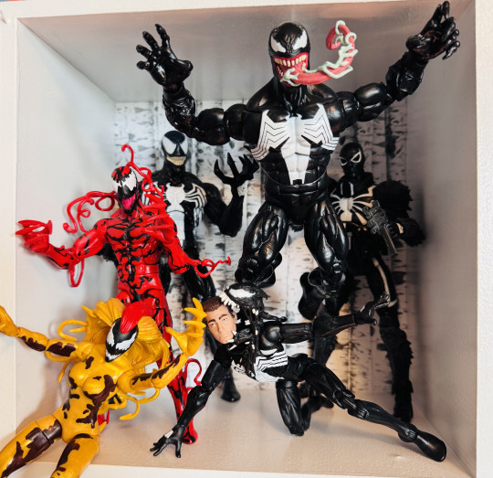 Display by Huntaur