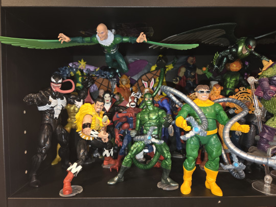 Display by Spiderclone