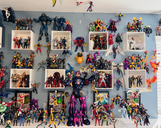 Display by Huntaur