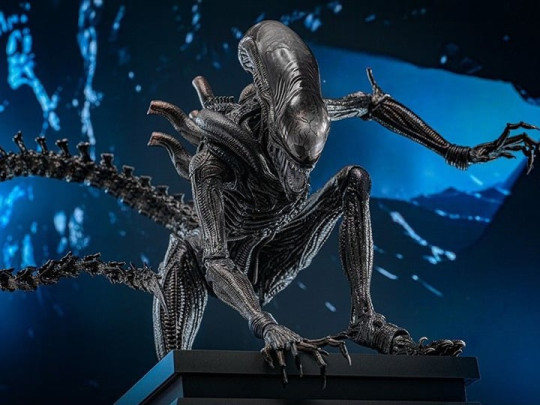Xenomorph