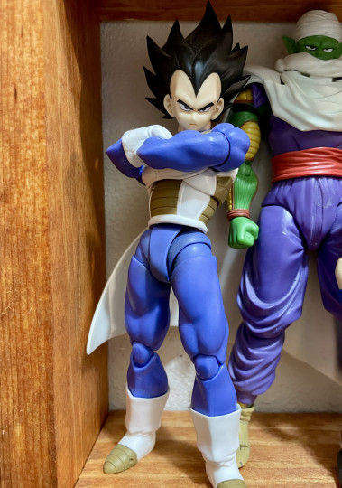 Super Saiyan Vegeta