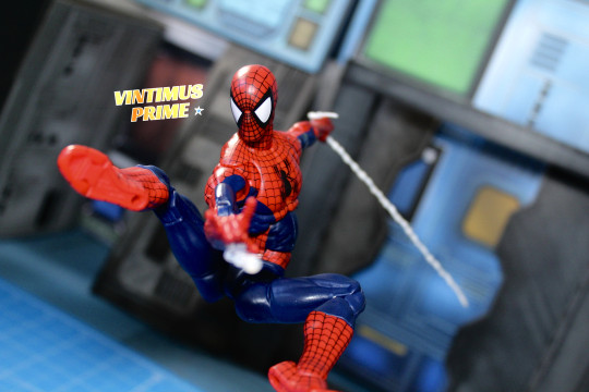 Display by VintimusPrime