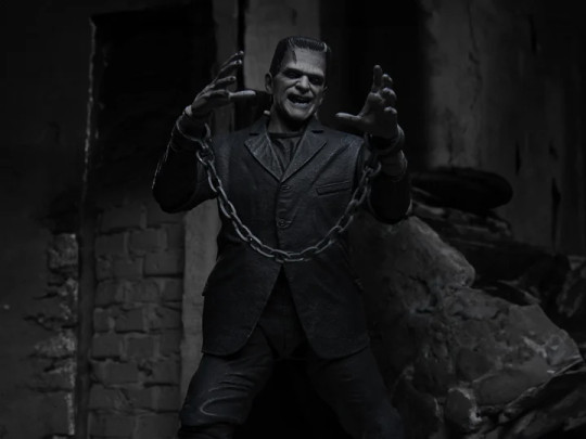 Universal Monsters Frankensteins Monster (Black & White)