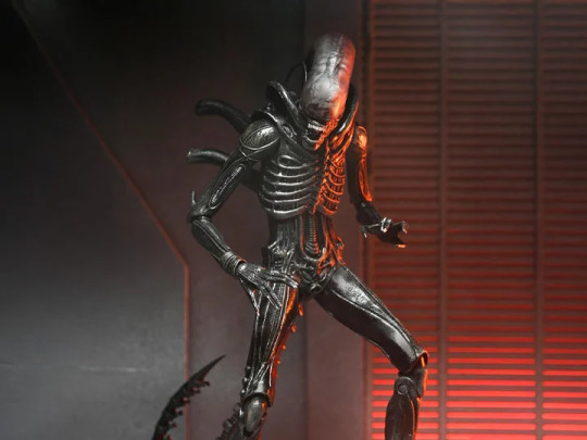 Alien: Romulus Xenomorph XX121