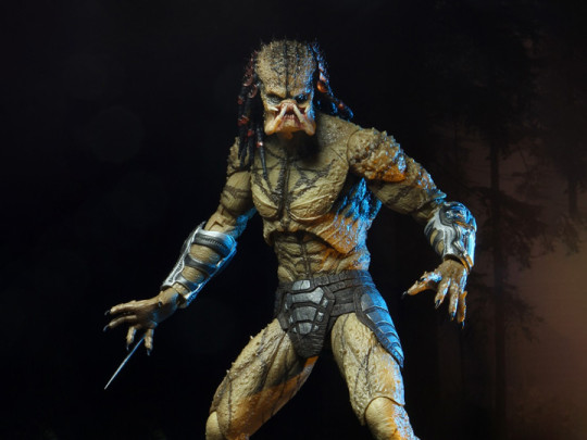 Assassin Predator
