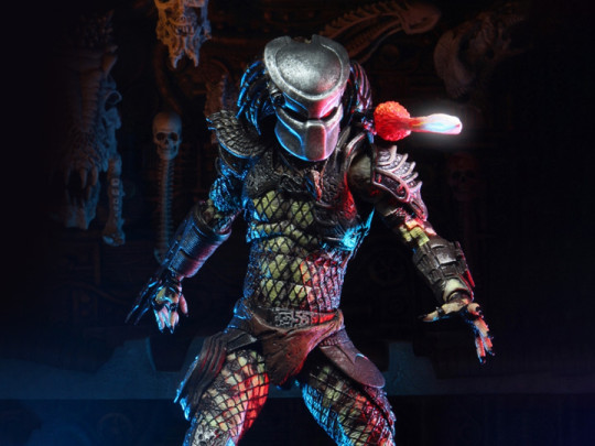 Scout Predator