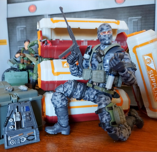 Display by Battle_Corps_Wild_Bill