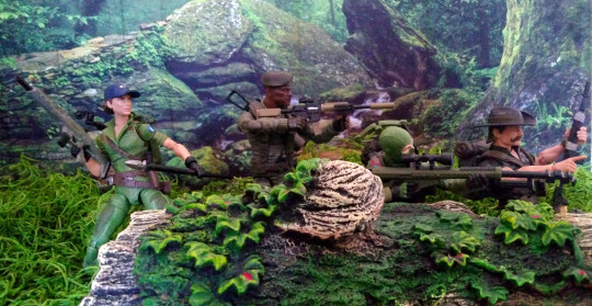 Display by Battle_Corps_Wild_Bill