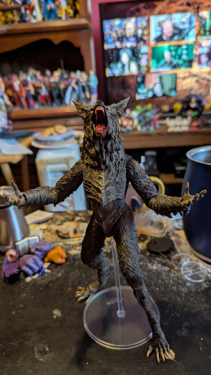 Display by Loganxdanstoys