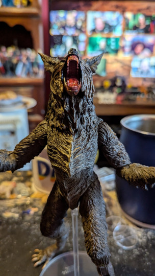 Display by Loganxdanstoys