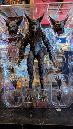 Display by Loganxdanstoys