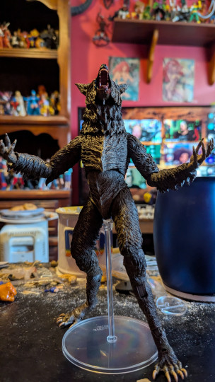 Display by Loganxdanstoys