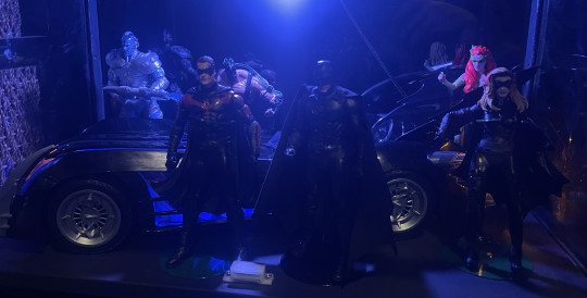 Batman and Robin movie figure shelf