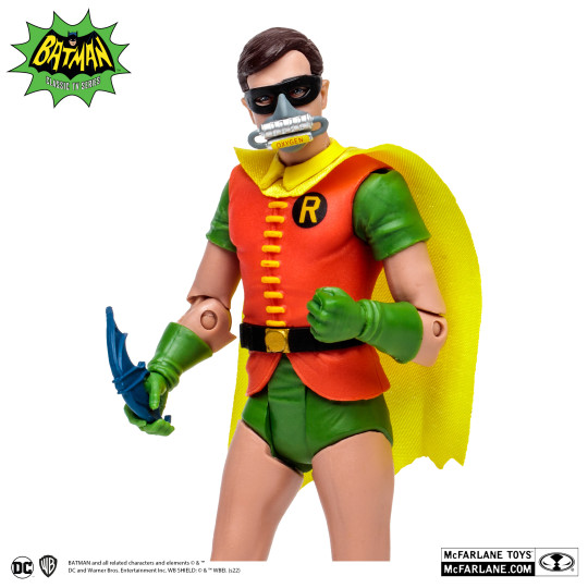 Robin With Oxygen Mask