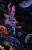 Official_trippy