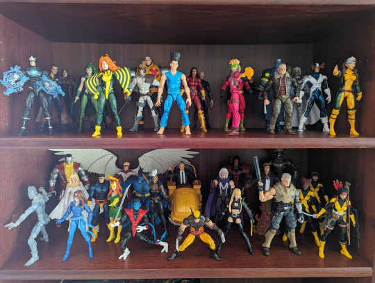 Display by pool_domino
