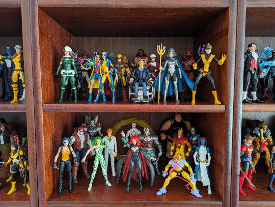 Display by pool_domino
