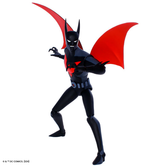 Terry McGinnis