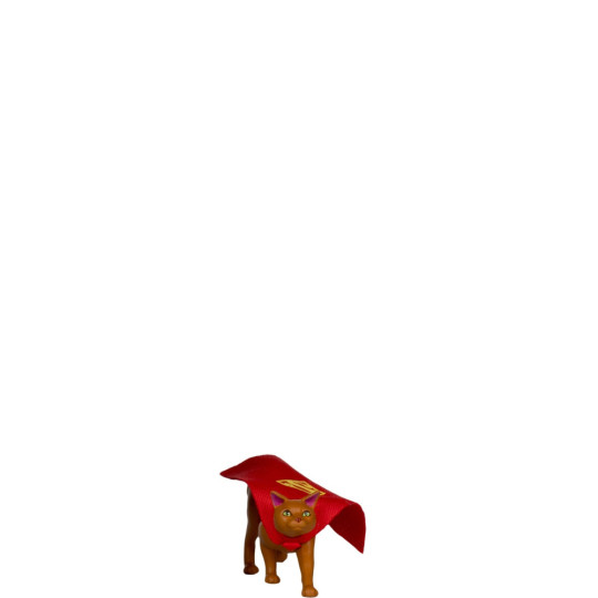 Display by CameronCole: Streaky the Supercat