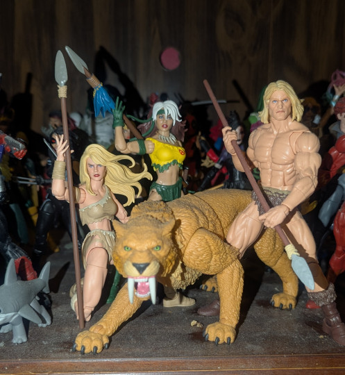 Display by Loganxdanstoys