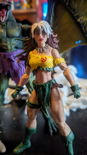 Display by Loganxdanstoys