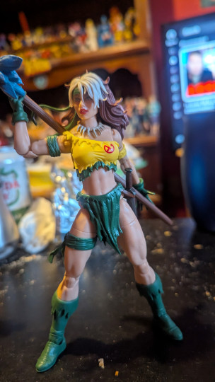 Display by Loganxdanstoys