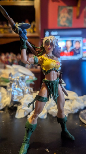 Display by Loganxdanstoys