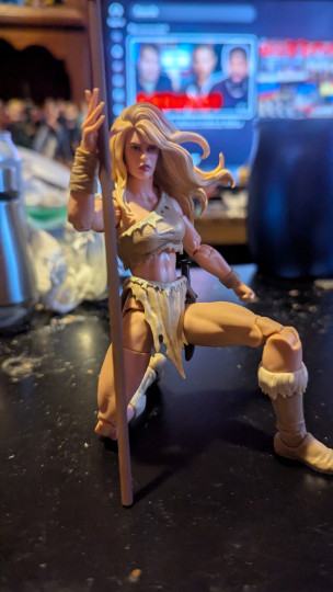 Display by Loganxdanstoys