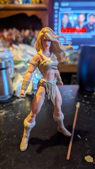 Display by Loganxdanstoys