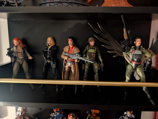 Display by BasharTeg