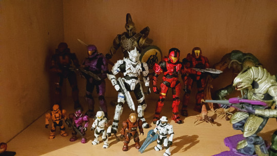 Display by Kinnikuman_Enthusiast