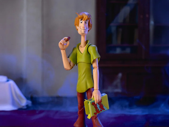 Shaggy Rogers