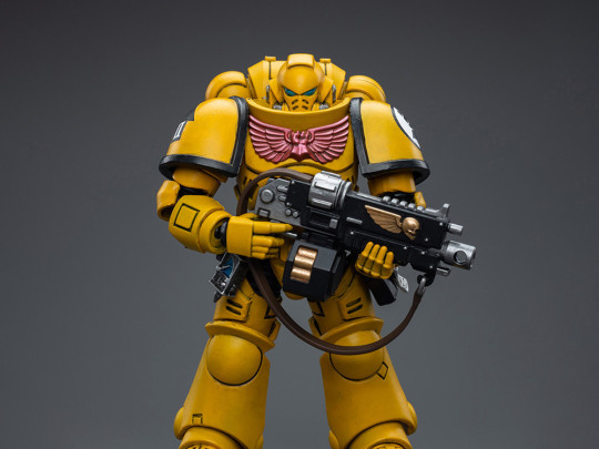 Imperial Fists Intercessors