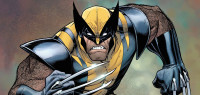 Wolverine1415
