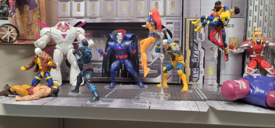 Display by What Do I Know