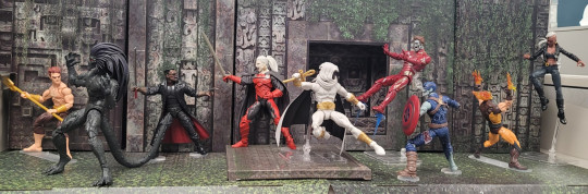 Display by What Do I Know