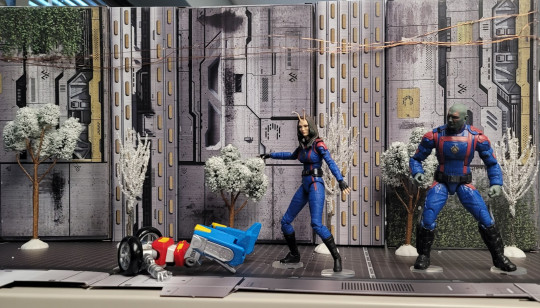 Display by What Do I Know